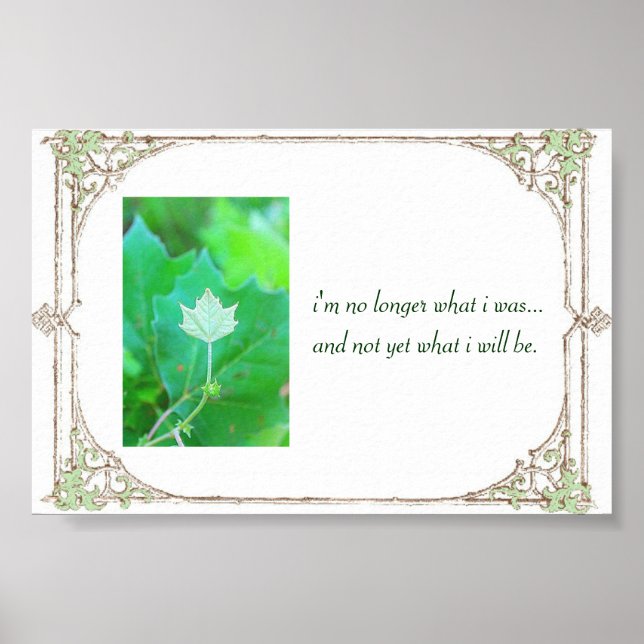 Póster Potencial (Frente)