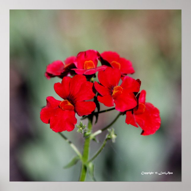 Póster Potente - Vermelho (Frente)