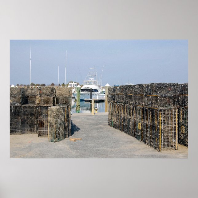 Póster Potes de caranguejo (Frente)