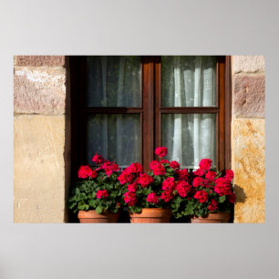 Póster potes de flores de janela na aldeia