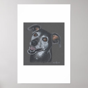 Póster Pouco bocado