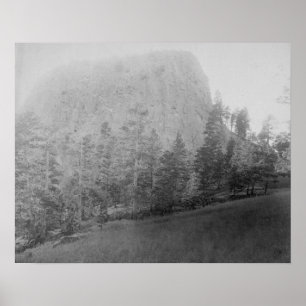 Póster Pouco campo e árvores de Beyod do montículo de