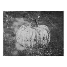 Poumpkin Autumn Vintage Textura Preta E Branca