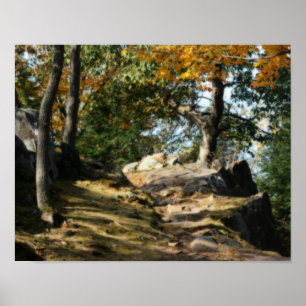 Póster Povarilha Pacífica Natureza Orton Art