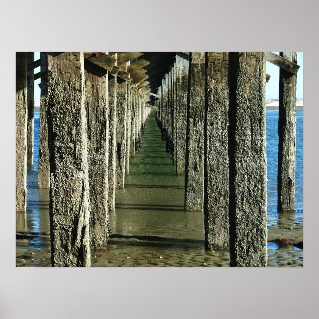 Poster powderpoint bridge duxbury mães. (Frente)