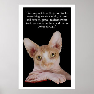 Póster "Power To Decide"