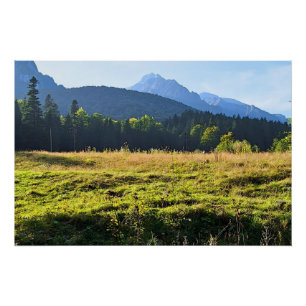 Póster Prado da Montanha Verde – Natureza Selvagem Romêni