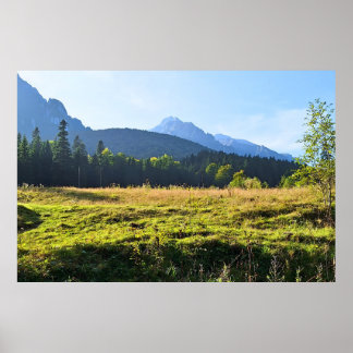 Poster Prado da Montanha Verde – Natureza Selvagem Romêni