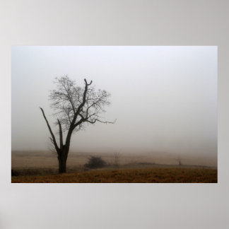 Póster Prado de Árvore Inverno