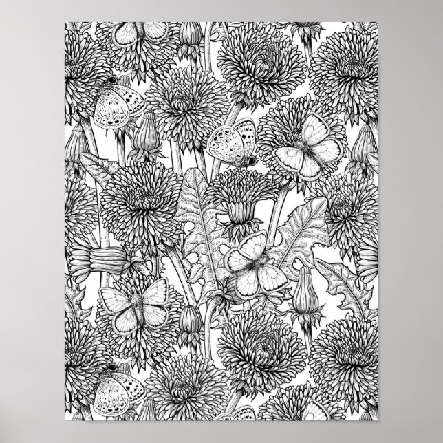 Poster Prado de dandelion em preto e branco (Frente)