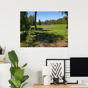 Poster Prado de Yosemite com Estrelas Cadentes