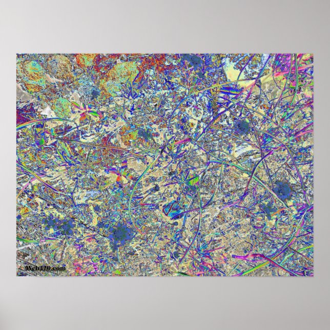 Poster Prado louco (Frente)