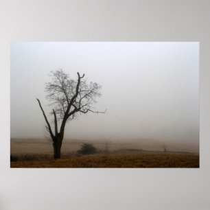 Póster Prado nevoento da árvore do inverno
