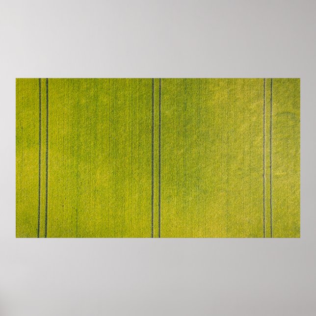 Poster Prado verde (Frente)