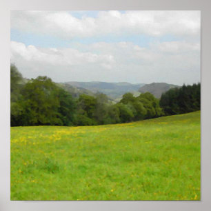 Póster Prado verde. Cenário do campo