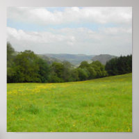 Prado verde. Cenário no campo.