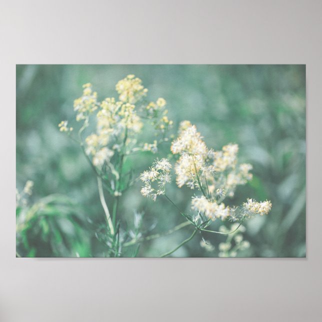 Poster Prados de Flores Selvagens Verde de Pastel Pálidas (Frente)