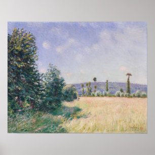 Poster Prados de Sahurs na manhã Sun