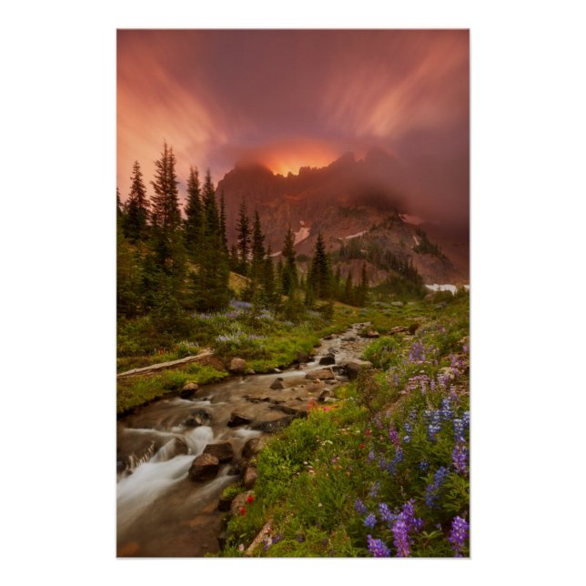 Póster Prados Encantados (Frente)