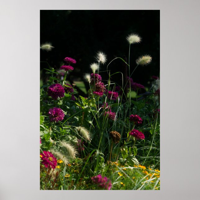 Poster Prague Park Flower Garden (Frente)