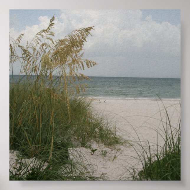 Poster Praia (Frente)