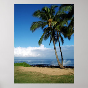 Poster Praia 19 de Ali'i