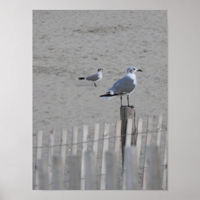 Póster Praia ~ 25,5 (Frente)