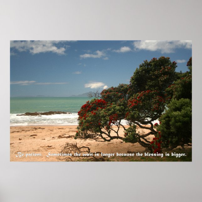Poster Praia - Árvore de Pohutukawa - Seja Paciente (Frente)