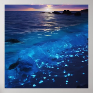 Poster Praia Bioluminescente de Águas Brilhantes