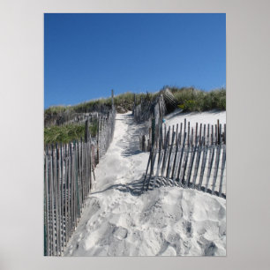 Póster Praia Cape Cod de Chapin