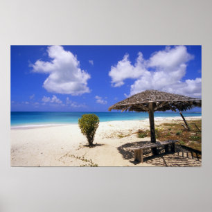Póster Praia Coco Point, Barbuda, Antigua