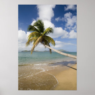 Póster Praia Coconut Grove na Baía de Cades, com St.