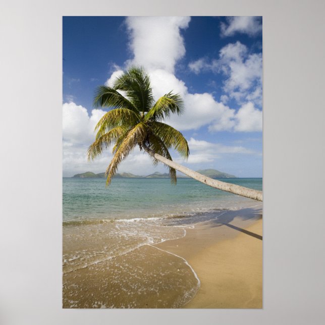 Póster Praia Coconut Grove na Baía de Cades, com St. (Frente)