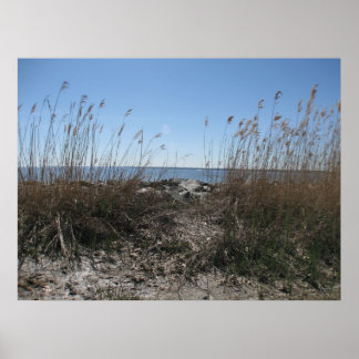 Poster Praia Colonial 1