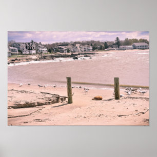 Poster Praia Connecticut de vida de Madison