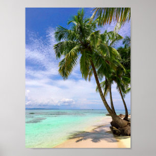 Poster Praia da Ilha da Árvore de Palma de Água Tropica