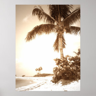 Póster Praia da maratona