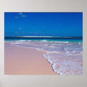Poster Praia de areia rosa na Baía de Conch, Ilha do Gato