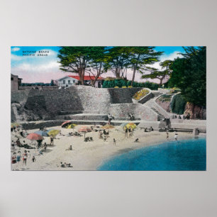 Póster Praia de banho no bosque pacífico