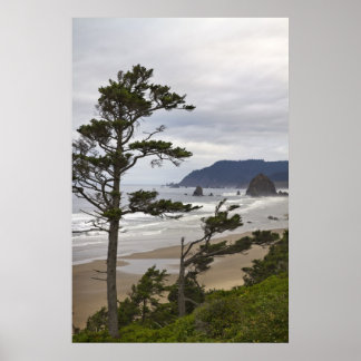 Póster Praia de Canhão de Tolovana no Oceano Pacífico Ore