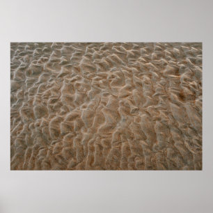 Poster praia de Daytona