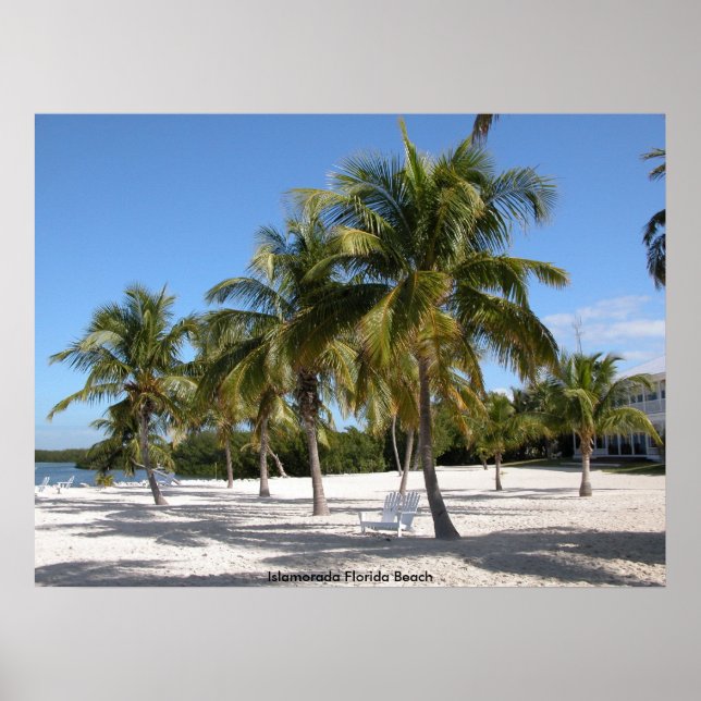 Póster Praia de Islamorada Florida (Frente)
