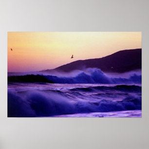 Póster Praia de Malibu