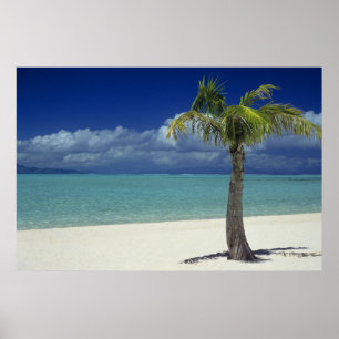 Poster Praia de Matira, na ilha de Bora Bora, 2