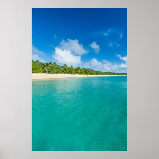Póster Praia de palmeiras, Tonga (Frente)