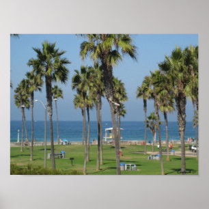 Póster Praia de San Diego