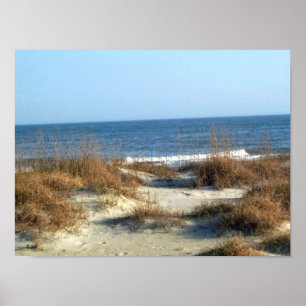 Póster Praia de Tybee