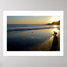 Poster Praia de Yuigahama: Kamakura, Japão