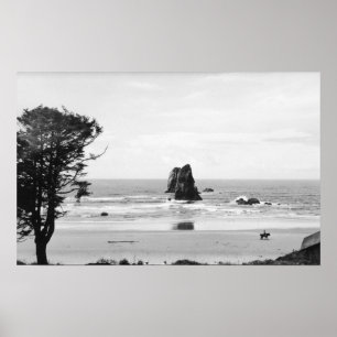 Póster Praia do canhão, cena de Oregon com as agulhas