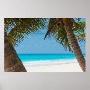 Póster Praia do Paraíso Tropical Perfeita